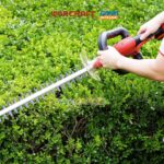 TAILLE HAIE SOLO S/FIL 20V WORCRAFT