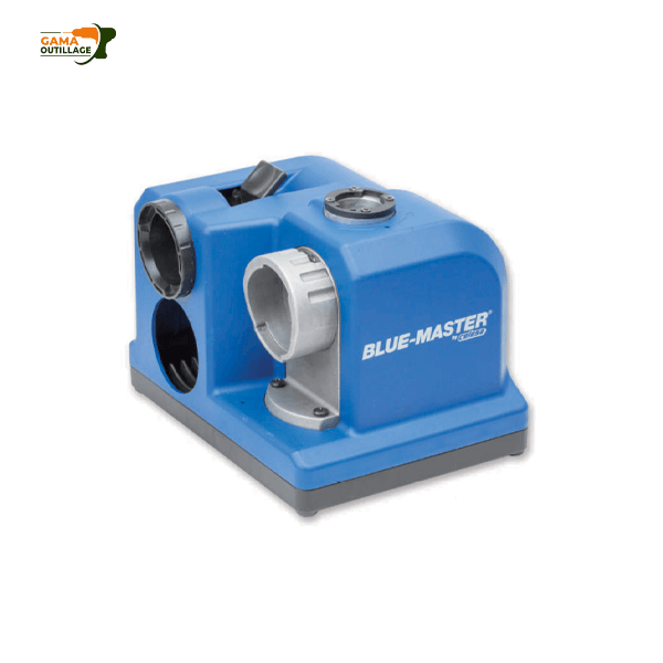 bleu-master