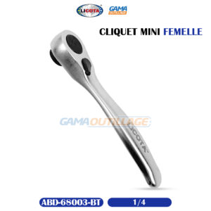 CLIQUET 1/4 MINI FEMELLE LICOTA
